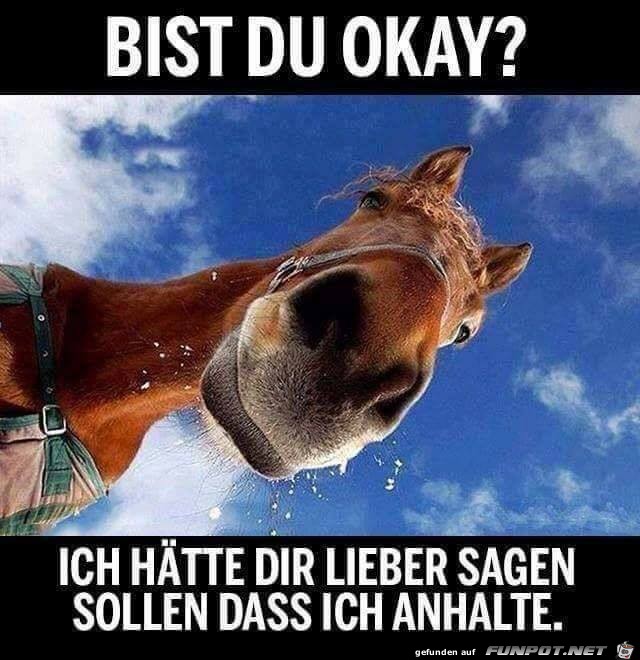 Bist Du Okay