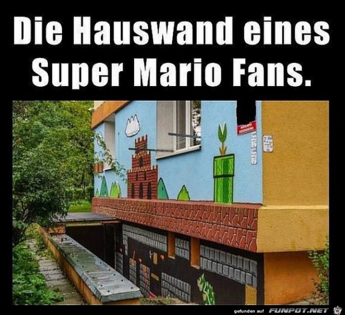 Super Mario Fan