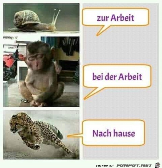 Das kommt so in etwas hin Das kommt so in etwas hin