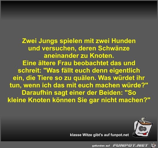 Zwei Jungs spielen mit zwei Hunden und versuchen Zwei Jungs spielen mit zwei Hunden und versuchen