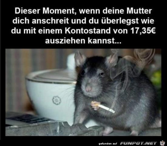 Dieser Moment