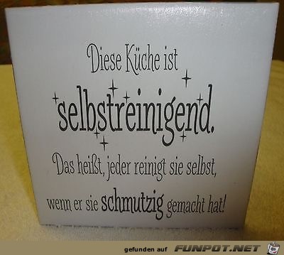 die kueche ist selbstreinigend die kueche ist selbstreinigend
