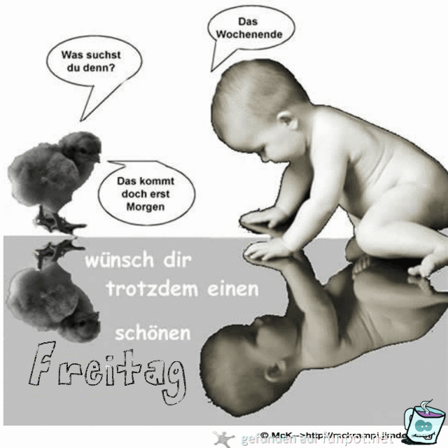 was suchst du denn was suchst du denn