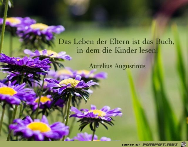 das Leben der eltern das Leben der eltern