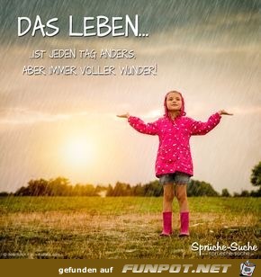 das Leben ist jeden Tag anders das Leben ist jeden Tag anders