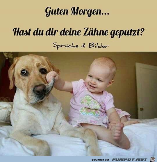 hast du dir deine zaehne geputzt hast du dir deine zaehne geputzt