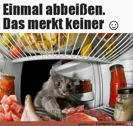 Genau Genau