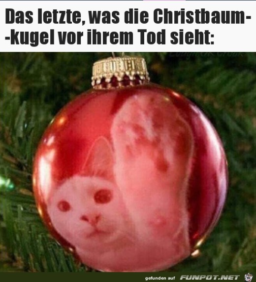 Die arme Kugel