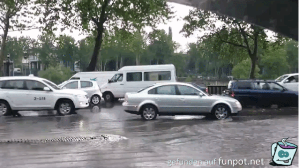 Da hat sich jemand verschwommen Da hat sich jemand verschwommen