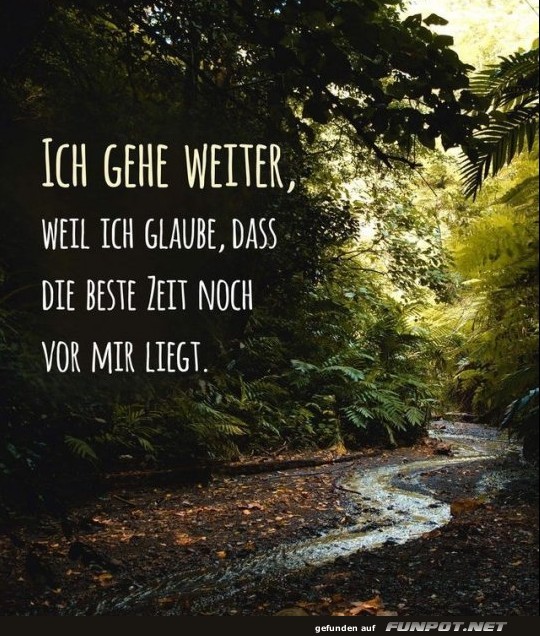 10 schöne Sprüche und Lebensweisheiten aus... 10 schöne Sprüche und Lebensweisheiten aus...