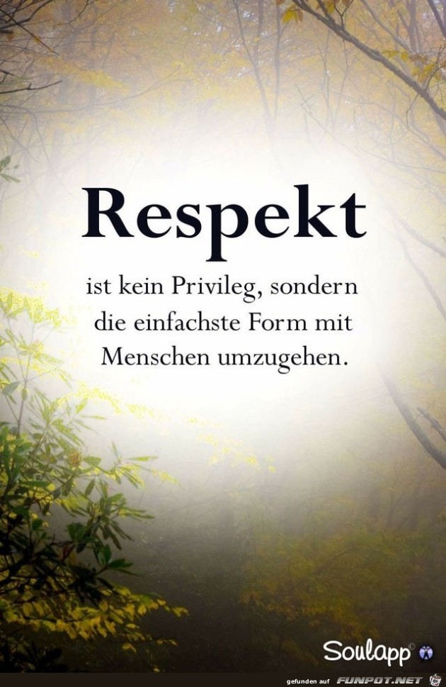 respekt ist kein Privileg