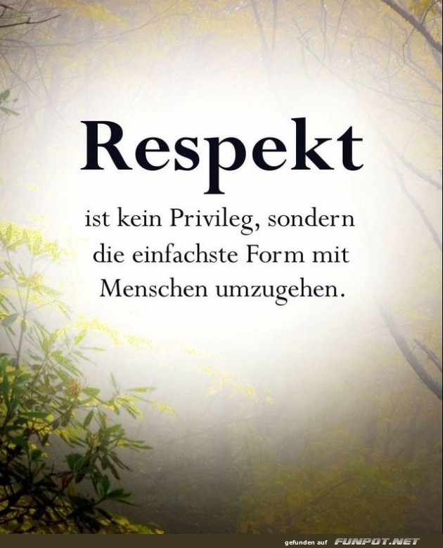 10 sch�ne Spr�che und Lebensweisheiten aus...