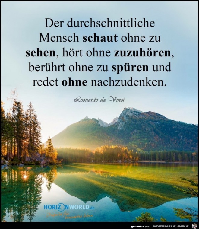 der durchschnittliche Mensch der durchschnittliche Mensch