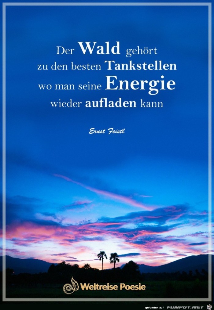 der wald gehoert der wald gehoert
