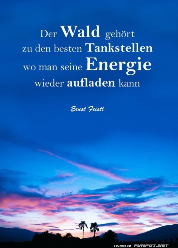 10 sch�ne Spr�che und Lebensweisheiten aus...