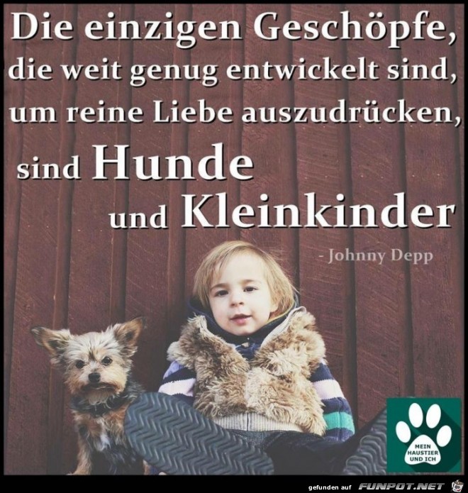 die einzigen geschoepfe die einzigen geschoepfe