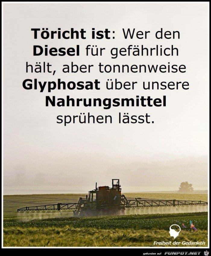 toericht ist