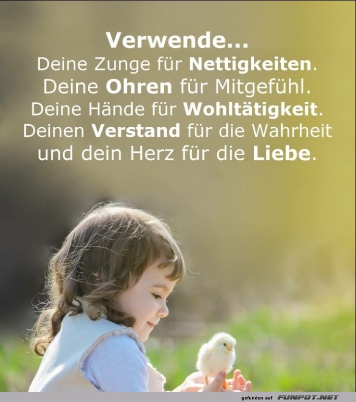 10 sch�ne Spr�che und Lebensweisheiten aus...