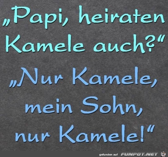 Papi, heiraten Kamele auch?....