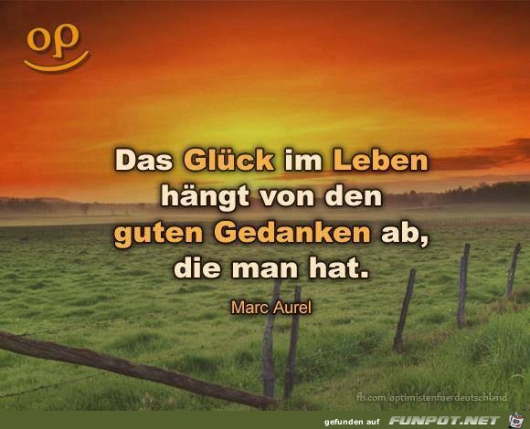 Das Glueck im Leben