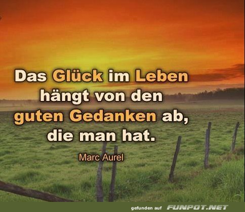 10 sch�ne Spr�che und Lebensweisheiten aus...