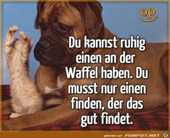 Du kannst ruhig einen an der Waffel haben