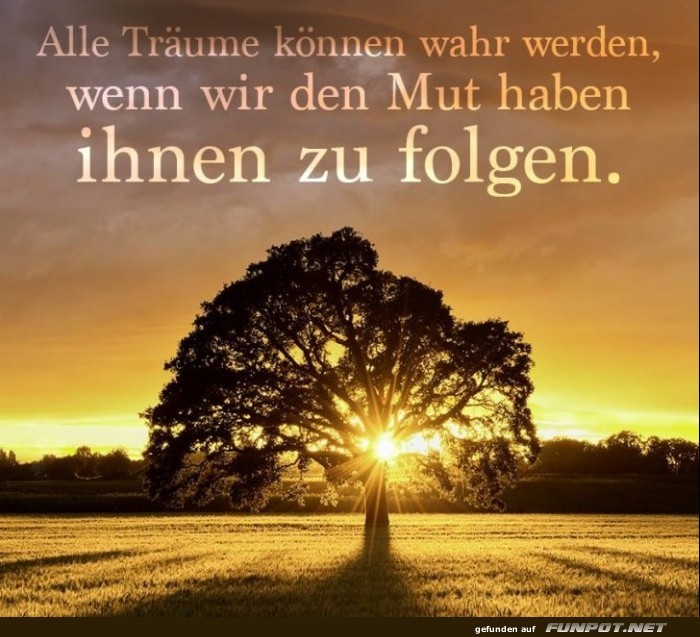 10 sch�ne Spr�che und Lebensweisheiten aus...