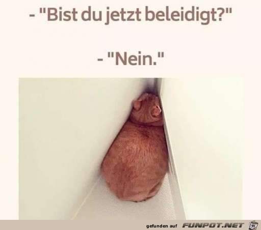 Beleidigt Beleidigt