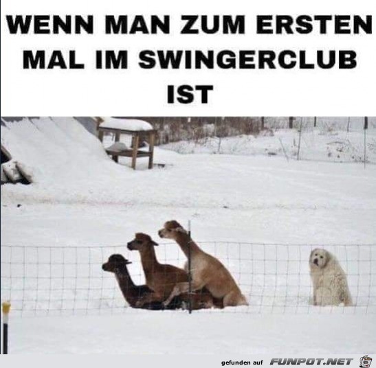 Zum ersten mal Zum ersten mal