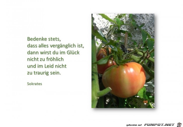 Bedenke stets Bedenke stets