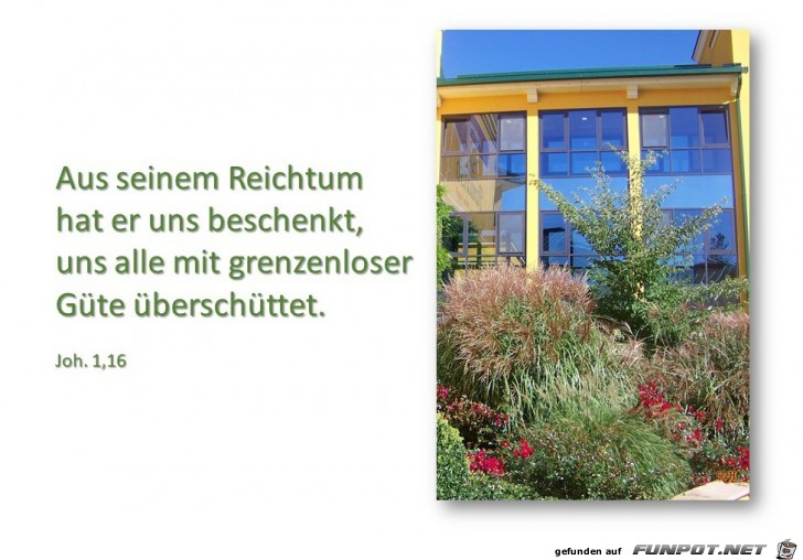 aus seinem Reichtum aus seinem Reichtum