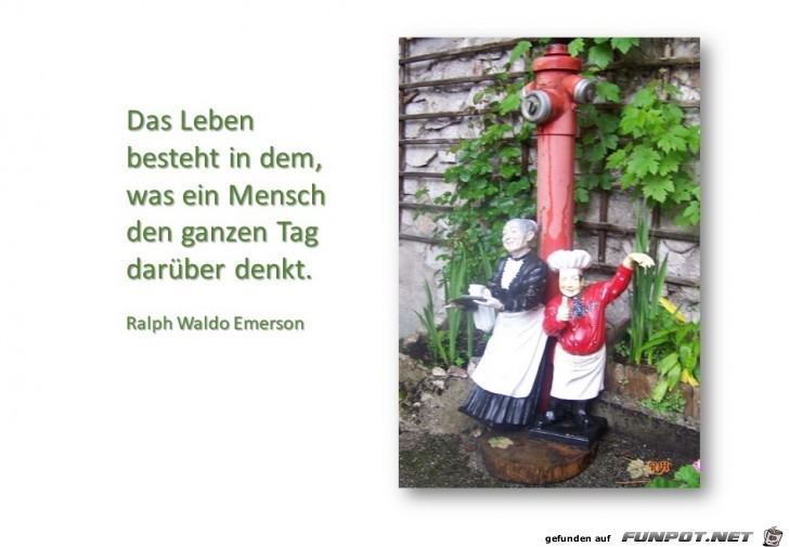 das Leben besteht in dem das Leben besteht in dem