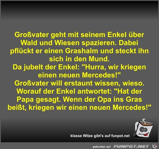 Großvater geht mit seinem Enkel über Wald und Wiesen... Großvater geht mit seinem Enkel über Wald und Wiesen...