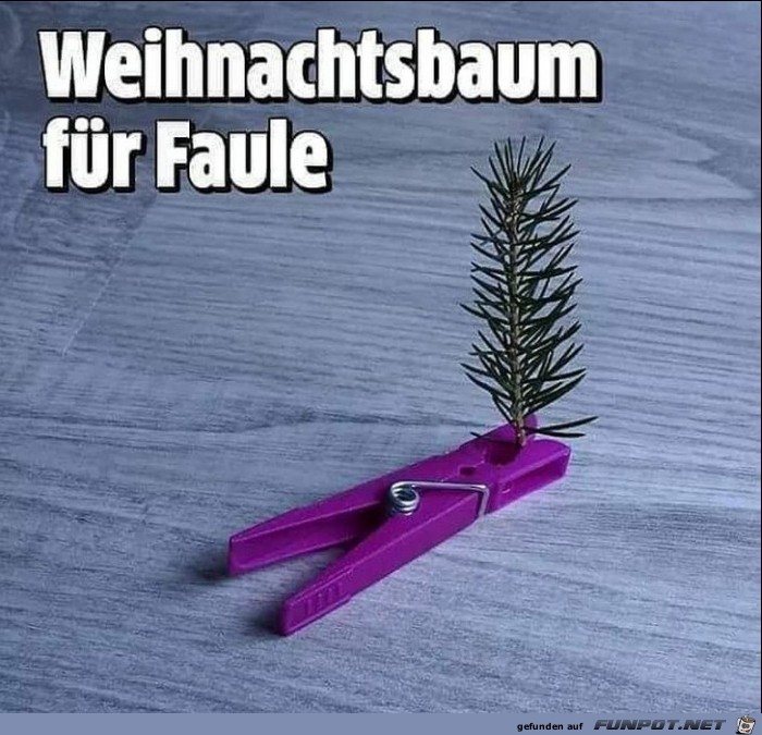 Weihnachtsbaum fr Faule und Singles