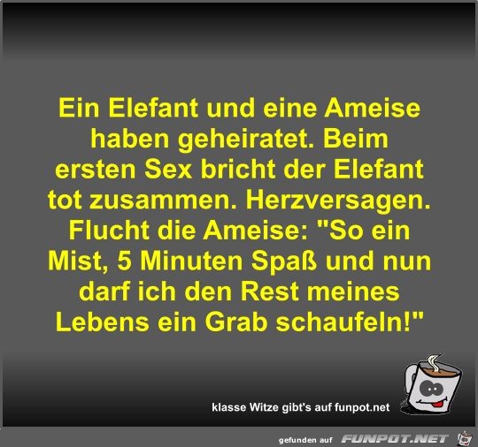 Ein Elefant und eine Ameise haben geheiratet Ein Elefant und eine Ameise haben geheiratet