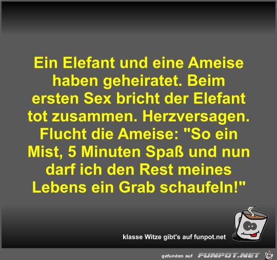 Ein Elefant und eine Ameise haben geheiratet