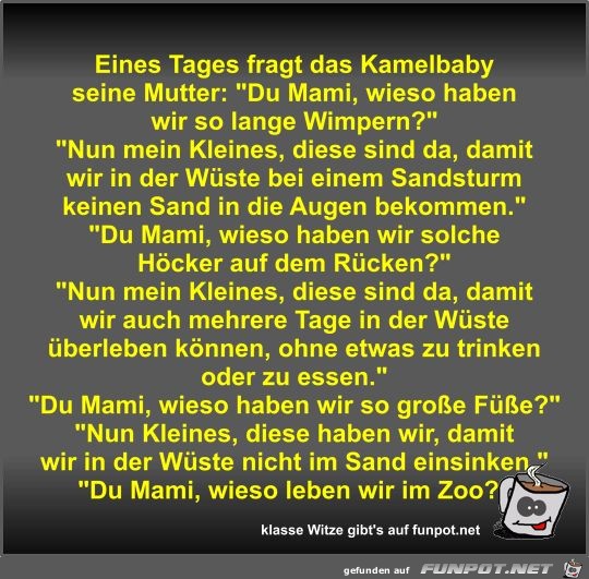 Eines Tages fragt das Kamelbaby seine Mutter Eines Tages fragt das Kamelbaby seine Mutter