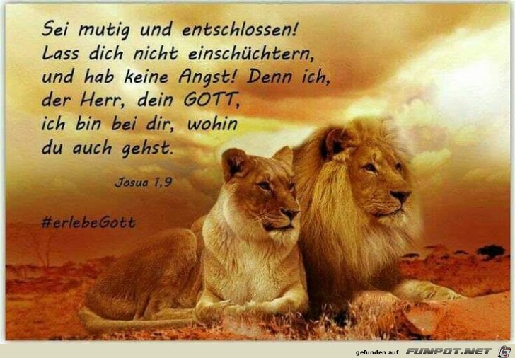 josua 1.9 josua 1.9