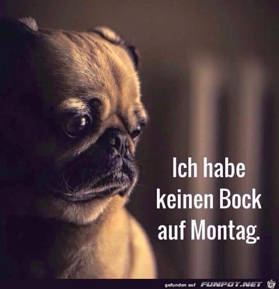 keinen Bock auf Montag