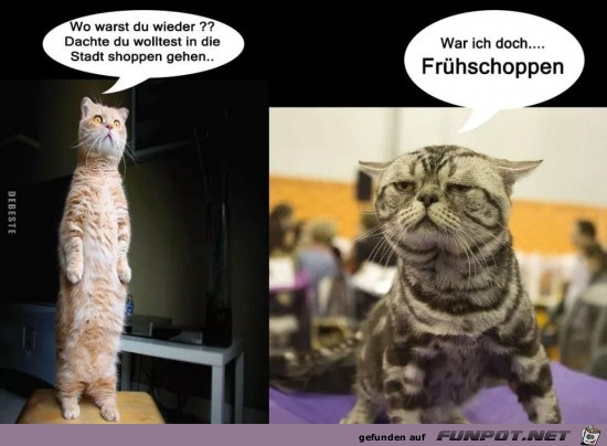 wo warst du wieder?.... wo warst du wieder?....