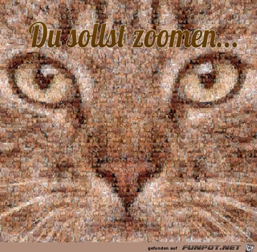 Du sollst zoomen Du sollst zoomen