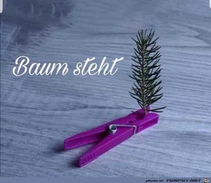 Baum steht