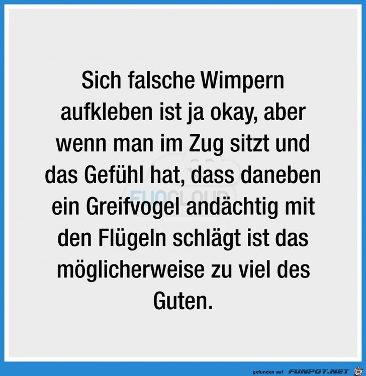 Falsche Wimpern aufkleben Falsche Wimpern aufkleben