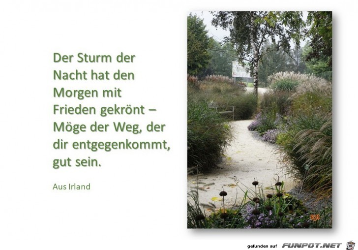 der sturm der Nacht der sturm der Nacht