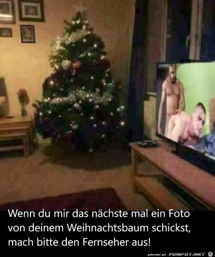 Tanne und Fernseher