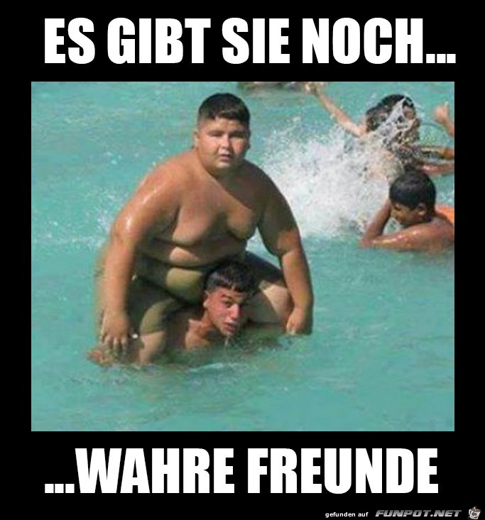 wahre Freunde wahre Freunde