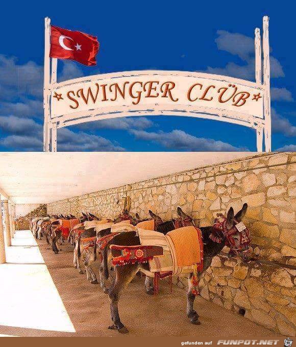 Swinger Clüb Swinger Clüb
