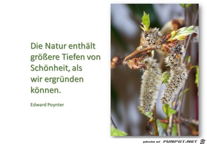 die Natur enthaelt