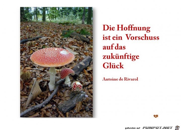die hoffnung ist ein vorschuss die hoffnung ist ein vorschuss