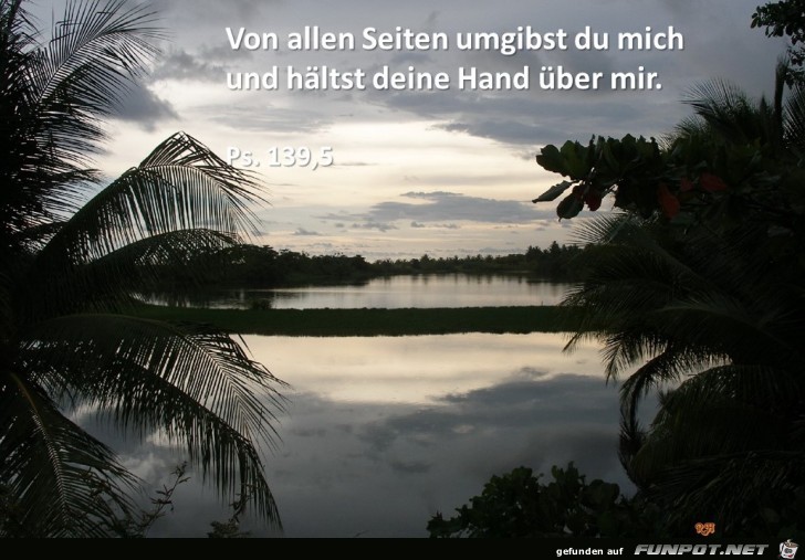 Ps. 139 5 Ps. 139 5